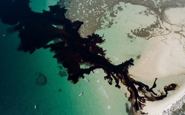 إغلاق شواطئ أم القيوين مؤقتاً بسبب تسرب نفطي بحري
