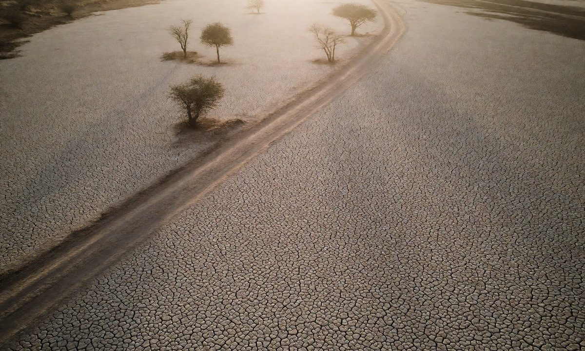 تحذيرات دولية من خطر المجاعة في السودان يواجه 19.5 مليون شخص